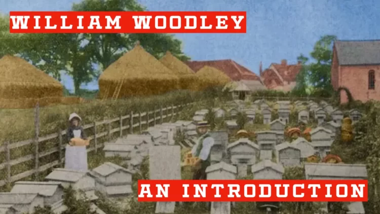 Featured Image William Woodly An Introduction